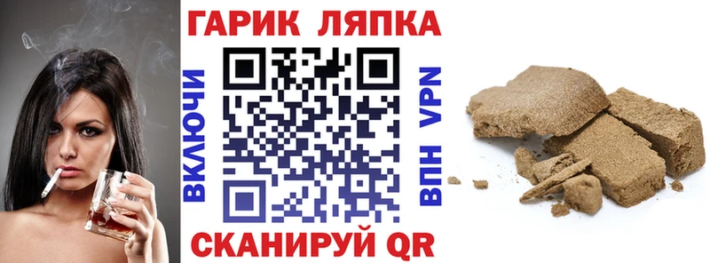 Купить  Шагонар  Гашиш hashish 