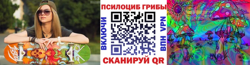 Купить закладки  Шагонар  Псилоцибиновые грибы GOLDEN TEACHER 